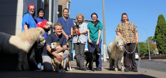 Concord Veterinary Hospital - Meet The Team