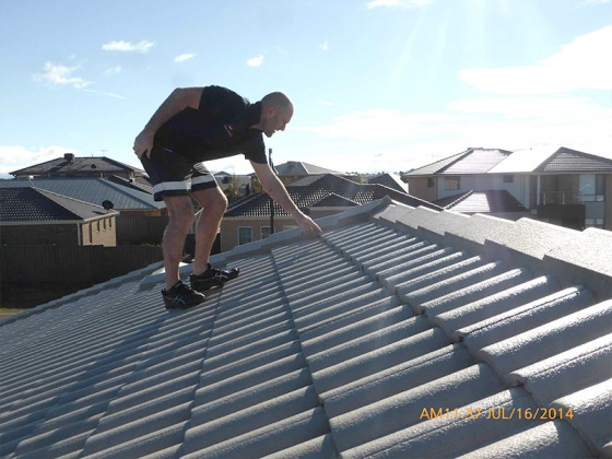 BPI Building and Pest Inspections Melbourne North - Roof Inspection