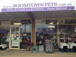 Boomtown pets, Drouin