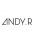 Andy.R Logo