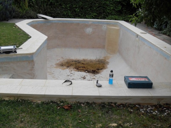 West Coast Swimming Pool Liners - Concrete Conversion