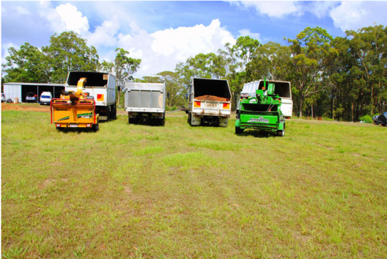 Independent Tree Services - tree removal brisbane