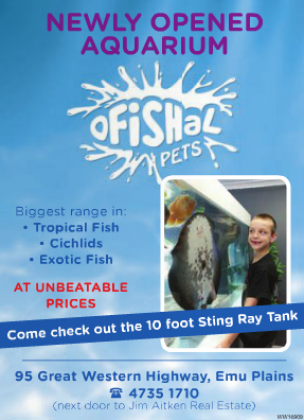 Ofishal Pets - Penrith Fish Store