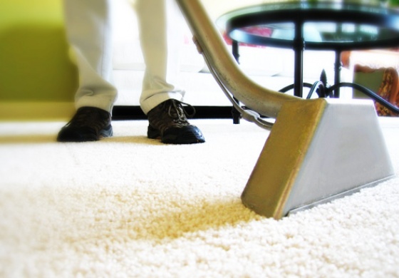 Clean Masters Carpet Cleaning Specialists