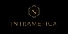 Intrametica Logo