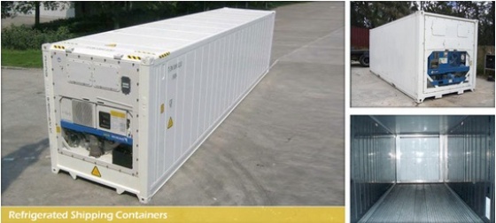 Port Container Services - Refrigerated Shipping Containers