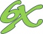 6X Training Logo