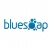 BlueSoap Website Design Logo