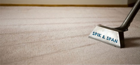 Spik & Span Cleaning