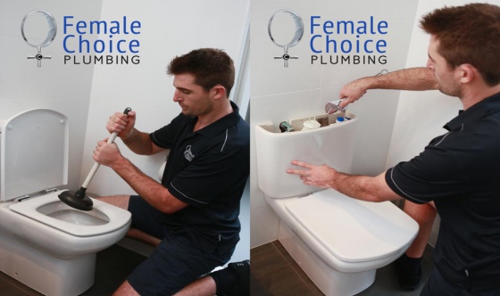 Female Choice Plumbing - Repair Leaking Toilet and Cistern