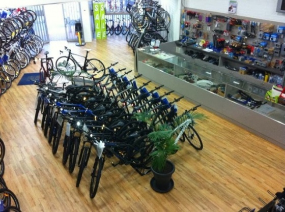 George's Bike Shop - Showroom
