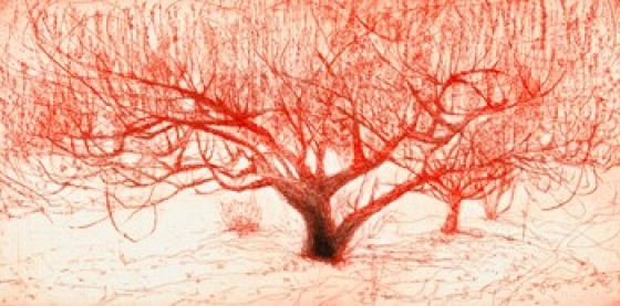 Cascade PrintRoom and Art Gallery - The Red Tree Kareen Anchen