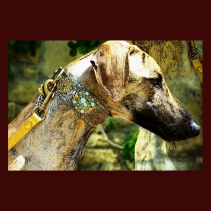 Khatala Pet Lodge - Designer dog collars