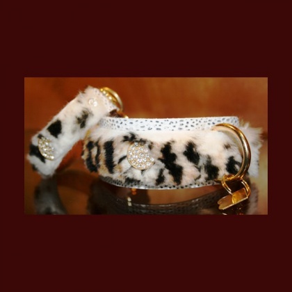 Khatala Pet Lodge - Designer dog collars