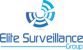 Elite Surveillance Group Logo