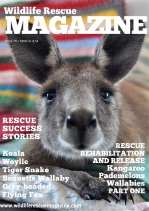 Wildlife Rescue Magazine - Wildlife Products for Wildlife Carers |  First Aid for Wildlife - Wildlife Rescue Magazine