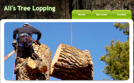 Ali's Tree Lopping Services, Slacks Creek