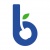 Blue Cherry Online Marketing Logo