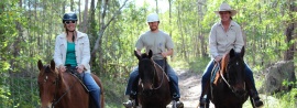 Curra Ridge Horse Rides, Curra