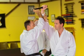 Toya Kan Higashi Karate Club, Helensvale
