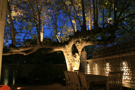 Luminance Night Gardens