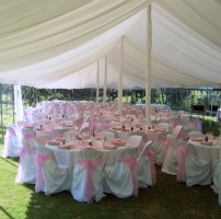 Always On Time Party Hire, Catherine Field