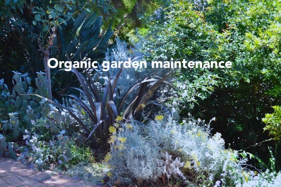 Natural Gardeners - Organic Garden Maintenance