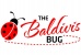 The Baldivis Bug Logo