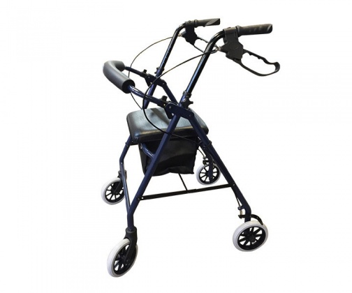 Independent Living Specialists - Seat Walker