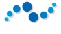 Bluesky Fencing Logo