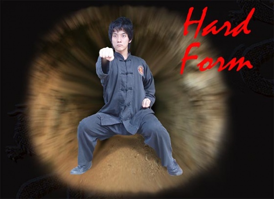Yang Tsin Su academy - Hard style kung fu