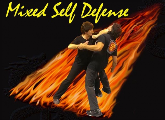 Yang Tsin Su academy - Mixed self defense