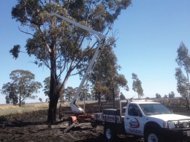 Total Tree Services, Mount Rascal