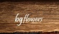 BG Flowers Logo