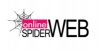 Online Spiderweb Logo