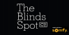 The Blinds Spot Co Logo