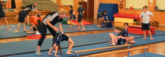 FitFutures - Gymnastics