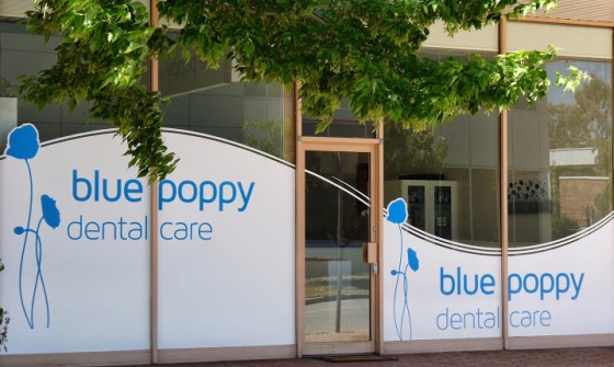 Blue Poppy Dental Care