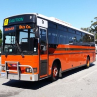 Warwick Bus & Coach Tours, Wangara