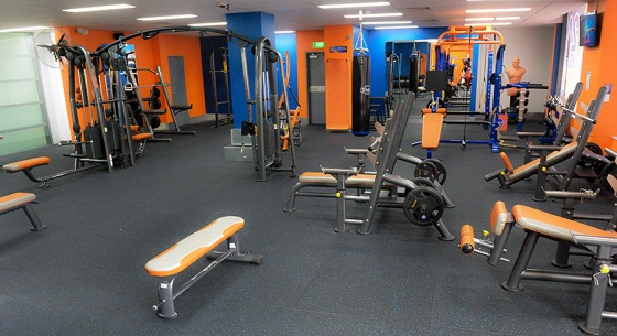 Plus Fitness 24/7 Cremorne - Free Weights