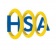 Hygienic Solutions Gold Coast Logo